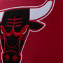Chicago Bulls Mitchell and Ness Legendary Slub Longsleeve T- Shirt