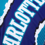 Charlotte Hornets Mitchell and Ness Jumbotron 2.0 Sublimated Tank majica