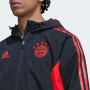 FC Bayern München Adidas Condivo All Weather DNA Kapuzenacke