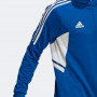 Dinamo Adidas Condivo Track maglione con cappuccio