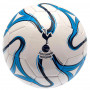 Tottenham Hotspur CW Ball 5