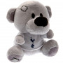 Tottenham Hotspur Timmy Teddybär