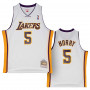 Robert Horry 5 Los Angeles Lakers 2002-03 Mitchell and Ness Swingman Alternate dres