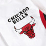 Chicago Bulls 1998 Mitchell & Ness Authentic Finals Warm Up Jacke