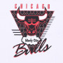Chicago Bulls Mitchell and Ness Final Seconds majica