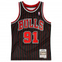 Dennis Rodman 91 Chicago Bulls 1995-96 Mitchell and Ness Swingman dres