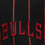 Chicago Bulls Mitchell and Ness Team Pin Mütze