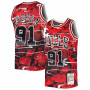 Dennis Rodman 91 Chicago Bulls 1997-98 Mitchell and Ness Swingman Asian Heritage maglia 5.0 
