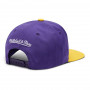 Los Angeles Lakers Mitchell and Ness HWC B2B 1988-89 kačket