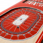 Detroit Red Wings 3D Stadium Banner foto