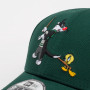 100th Anniversary Mashup Looney Tunes Harry Potter New Era 9FORTY Sylvester and Tweety Pie Mütze