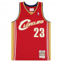 Lebron James 23 Cleveland Cavaliers 2003-04 Mitchell and Ness Swingman Road dres