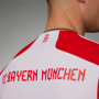 FC Bayern München Adidas 23/24 Home Maglia