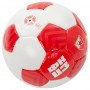 FK Crvena Zvezda Red Star Premium Ball 5