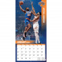 New York Knicks Calendario 2024