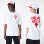 Chicago Bulls New Era Script Oversized T-Shirt