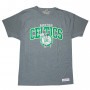 Boston Celtics Mitchell & Ness Team Arch T-Shirt