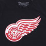 Detroit Red Wings Mitchell and Ness Team Logo T-Shirt