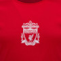 Liverpool N°10 Poly dečji trening komplet dres (tisak po želji +13,11€)