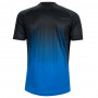 Joma Tiger IV Training T-Shirt Trikot (Druck nach Wahl +13,11€)