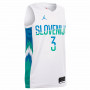 Slovenija Jordan KZS Swingman Home dres Dragić 3 