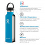 Hydro Flask 21 oz Standard Mouth Flex Cap Seagrass flaška 621 ml