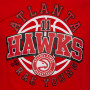 Trae Young 11 Atlanta Hawks LS Graphic Team majica