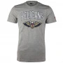 New Orleans Pelicans New Era Team Logo T-Shirt (11551102)