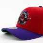 Toronto Raptors Mitchell & Ness Wool 2 Tone Redline HWC Cap