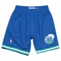 Dallas Mavericks 1998-99 Mitchell and Ness Swingman Shorts