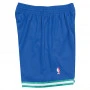 Dallas Mavericks 1998-99 Mitchell and Ness Swingman Shorts