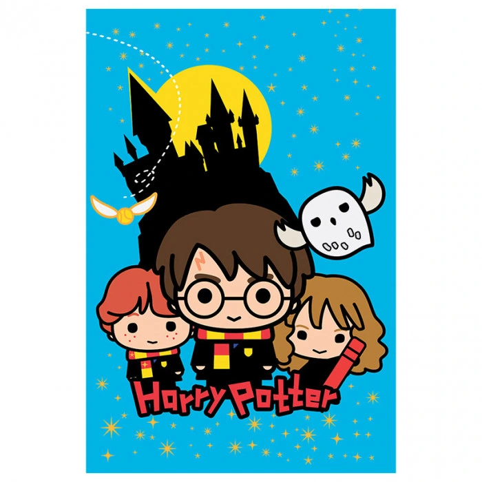 Harry Potter Coperta 