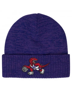 Toronto Raptors Mitchell & Ness HWC Fandom cappello invernale