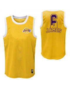 LeBron James 6 Los Angeles Lakers Ball Up Shooters Jersey