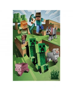 Minecraft Coperta 