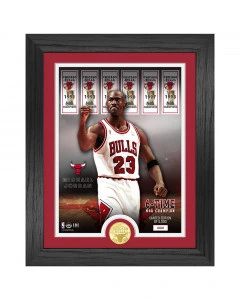 Michael Jordan 23 Chicago Bulls 6 Time NBA Champ Banners Bronze Coin Photo Mint gerahmtes Bild mit geprägter Bronzemünze