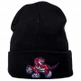 Toronto Raptors Mitchell & Ness Team Logo Cuff Wintermütze