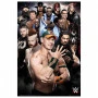 WWE Superstars 234 poster