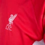 Liverpool Panel Training T-Shirt