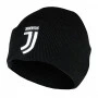 Juventus zimska kapa