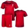 Liverpool dečji trening komplet dres  (tisak po želji +13,11€)