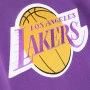 Los Angeles Lakers Mitchell & Ness Fusion pulover sa kapuljačom