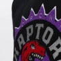 Toronto Raptors Mitchell & Ness Chenille Logo pulover s kapuco