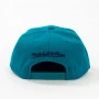 Charlotte Hornets Mitchell and Ness Team 2 Tone 2.0 Cappellino