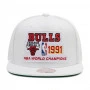 Chicago Bulls Mitchell and Ness HWC 91 Bulls Champs Mütze