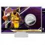 Lebron James Los Angeles Lakers Silver Coin Card Carta delle monete