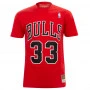 Scottie Pippen 33 Chicago Bulls Mitchell and Ness HWC T-Shirt