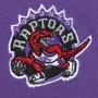 Vince Carter Toronto Raptors Mitchell and Ness Heavyweight Premium Vintage Logo majica 